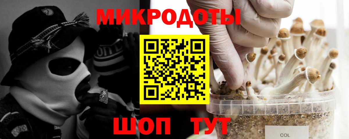 Галлюциногенные грибы Psilocybe  Вход с VPN  Лесной  Галлюциногенные грибы прущие грибы 